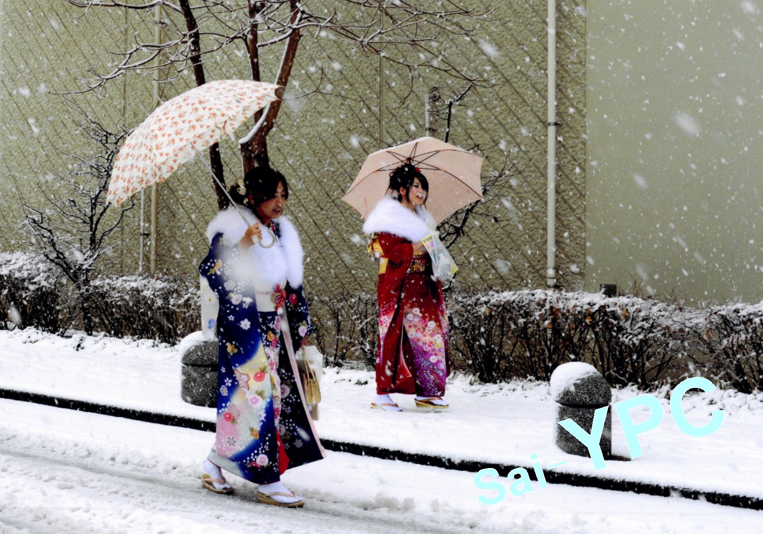 入賞写真