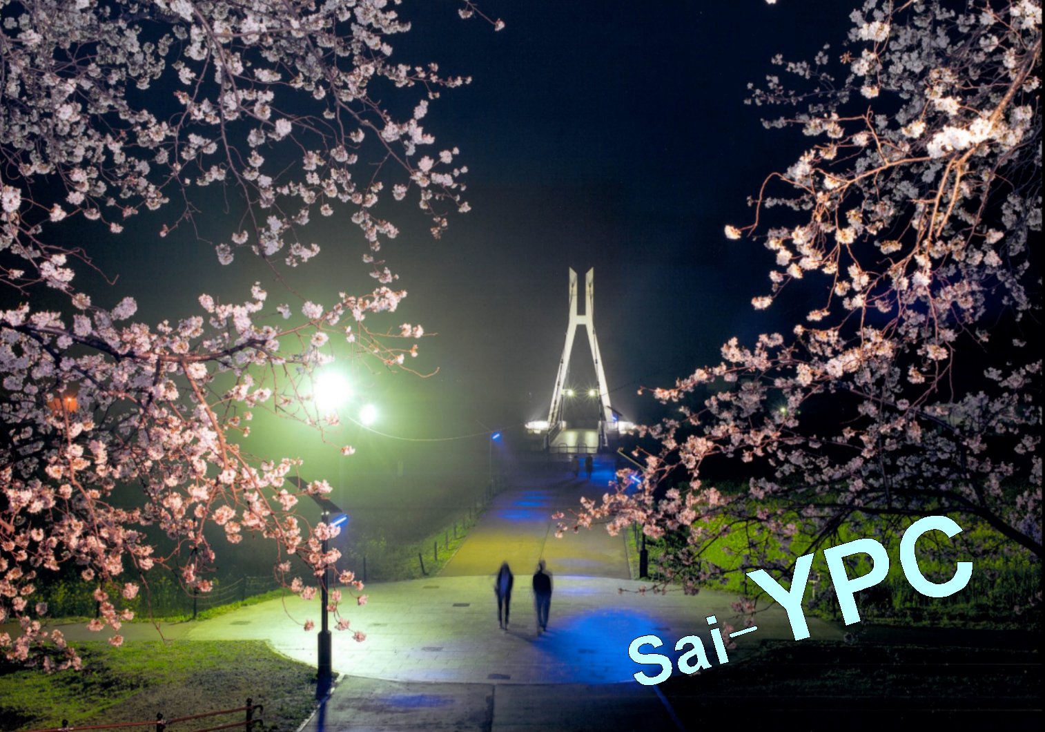 入賞写真