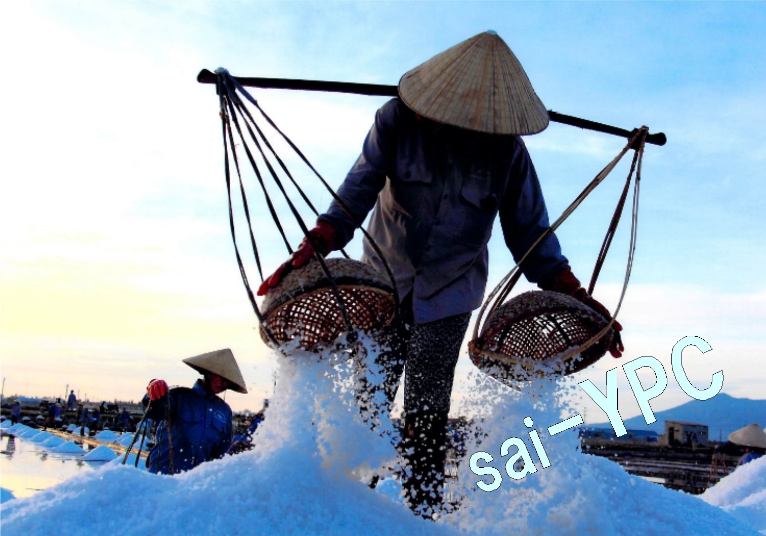 入賞写真