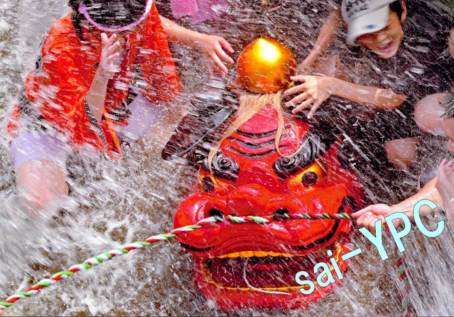 入賞写真