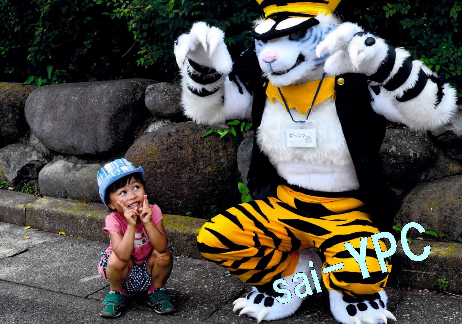 入賞写真