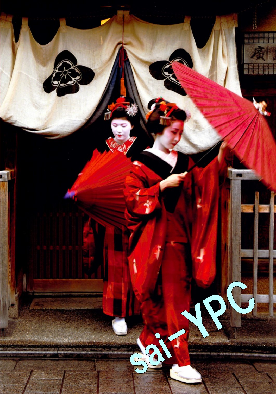 入賞写真