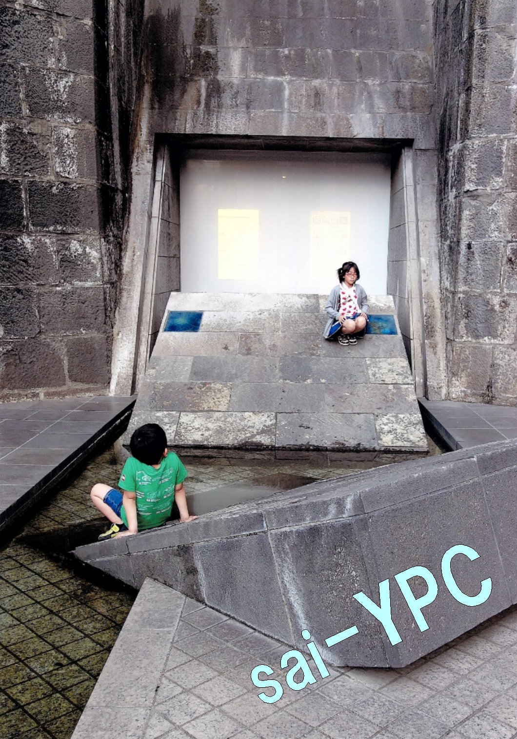 入賞写真