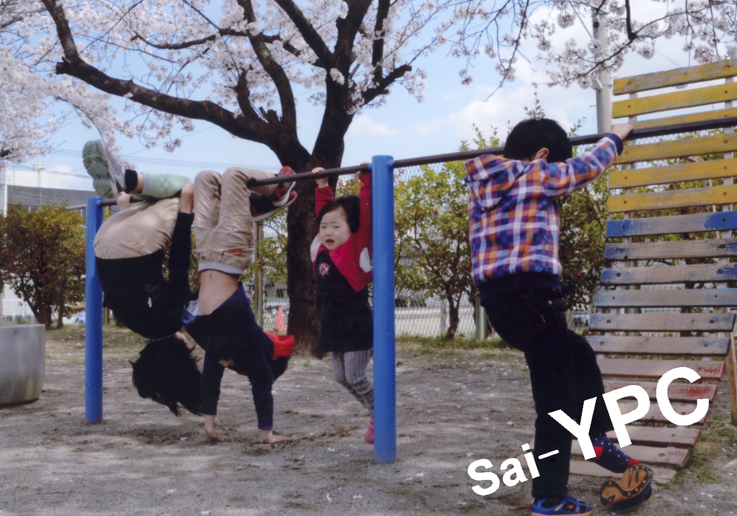 入賞写真