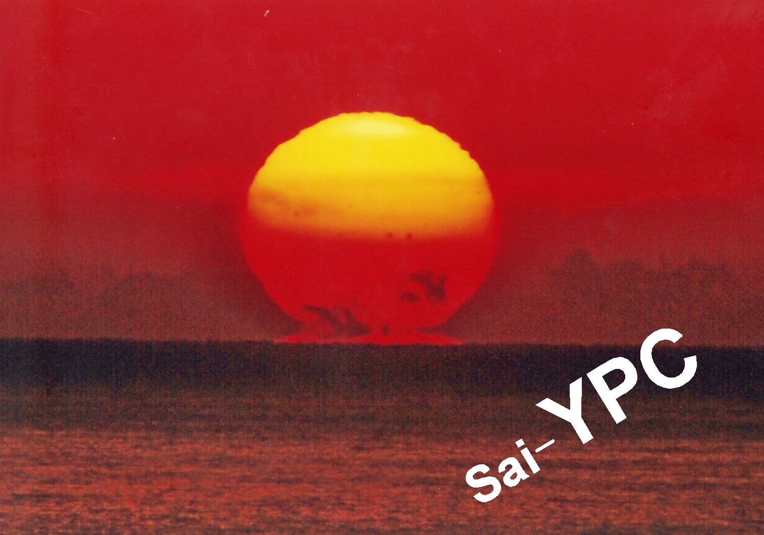 入賞写真