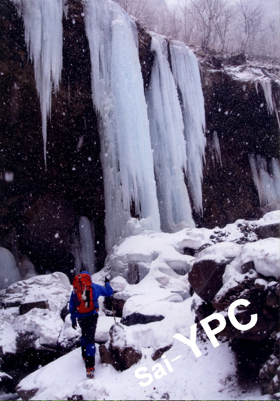 入賞写真