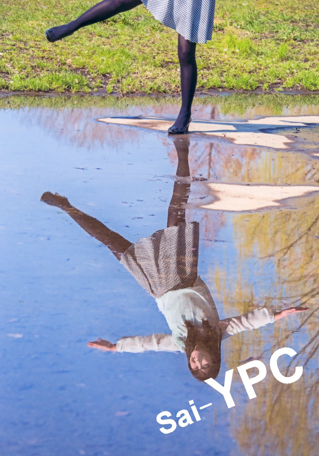 入賞写真