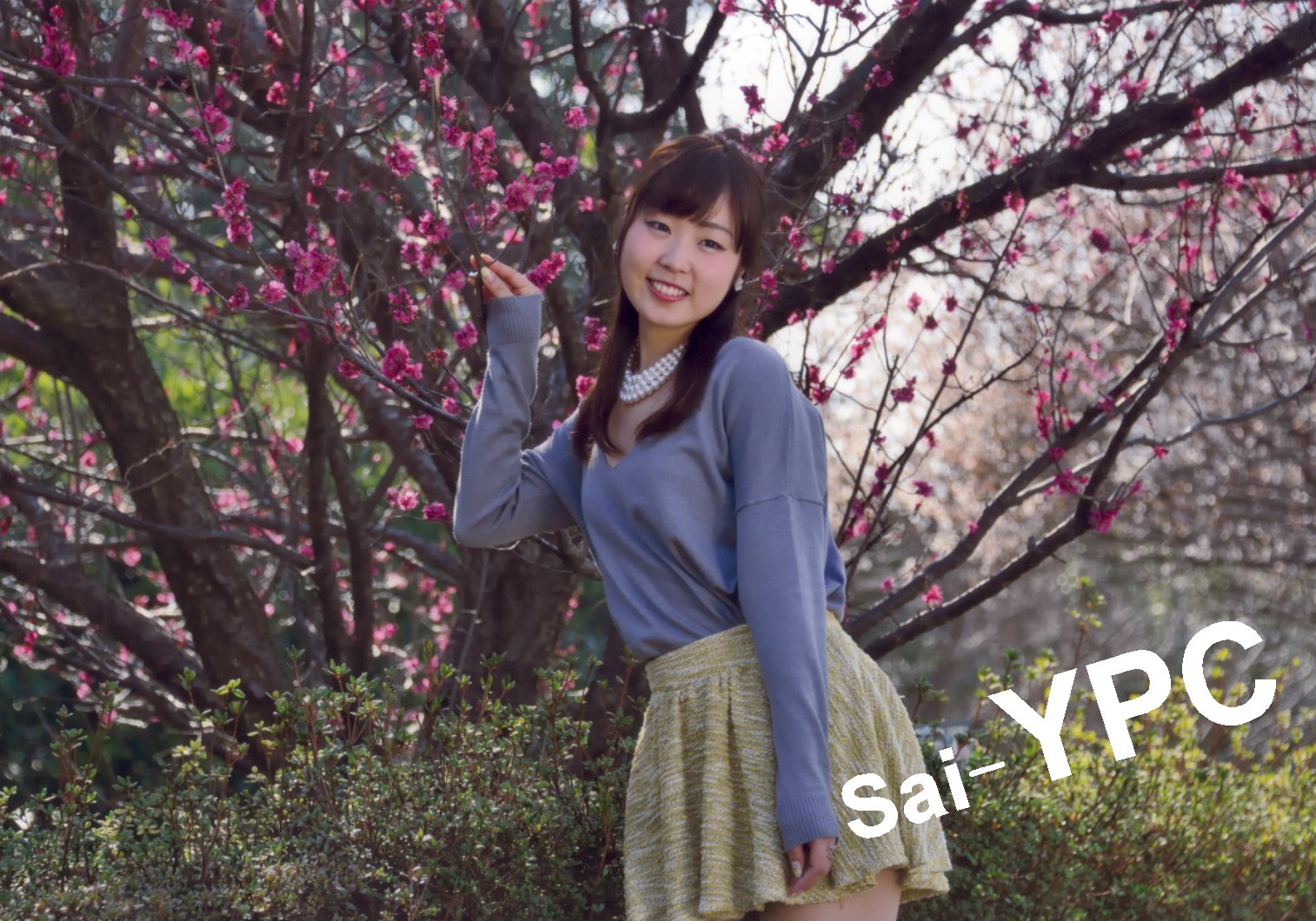 入賞写真