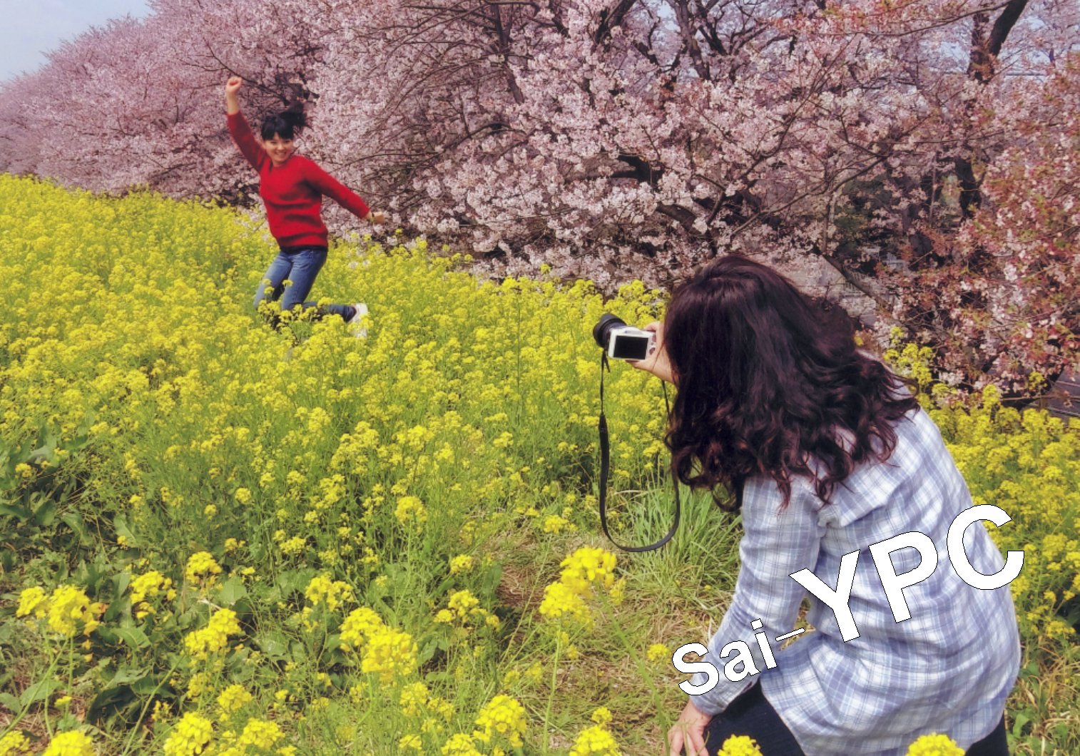 入賞写真