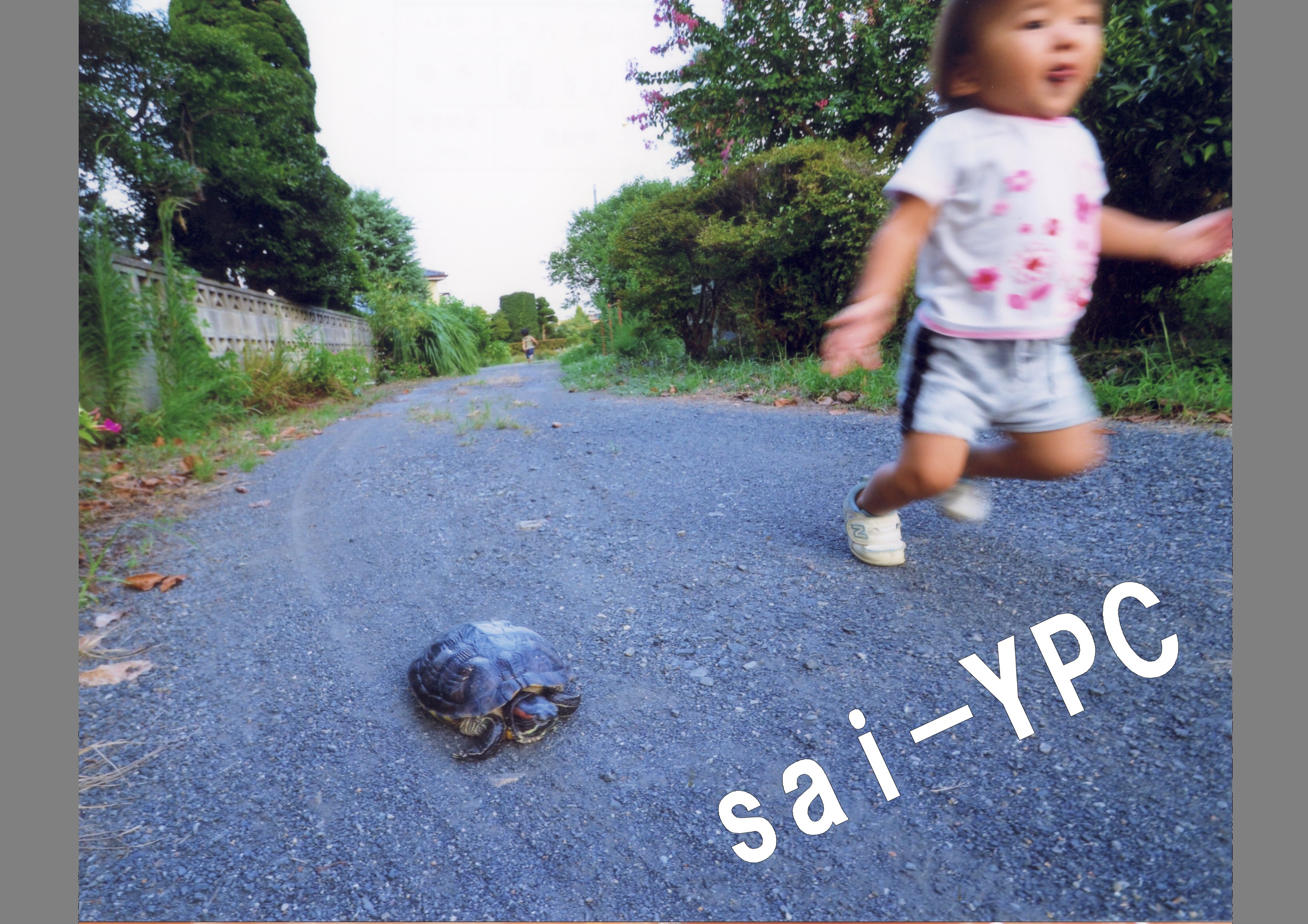 入賞写真
