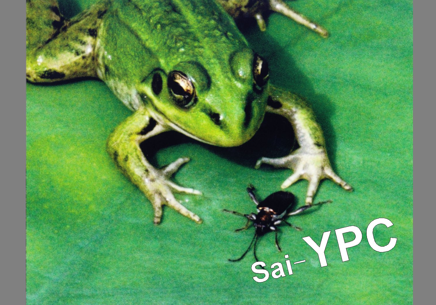 入賞写真