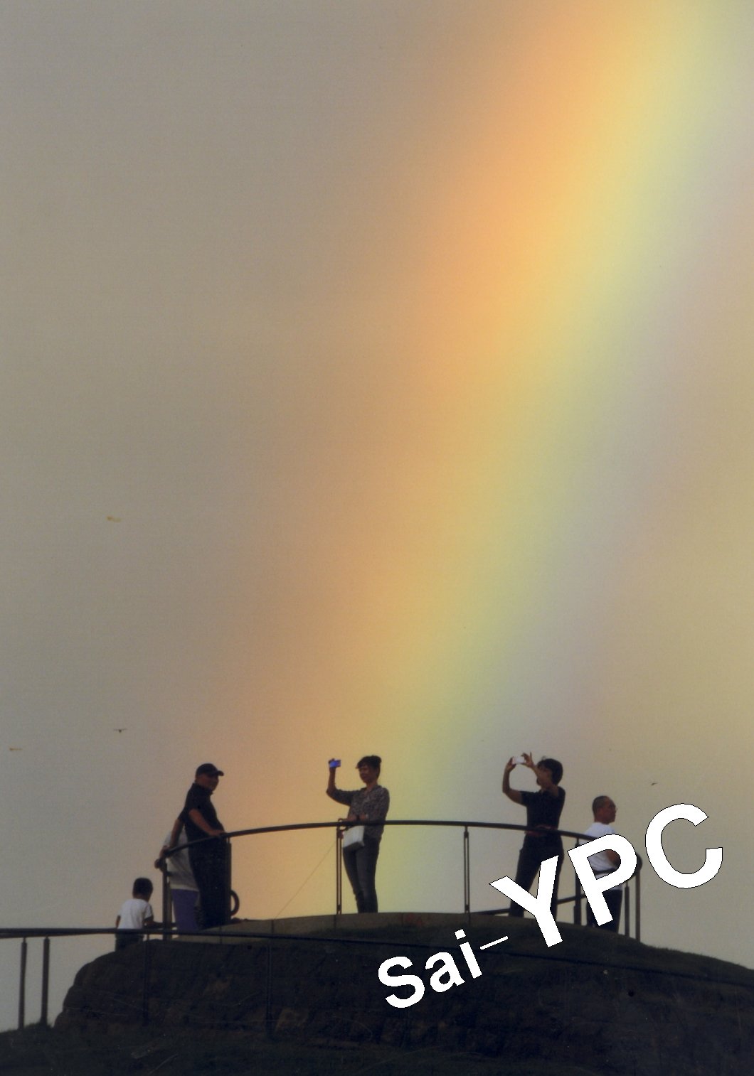 入賞写真