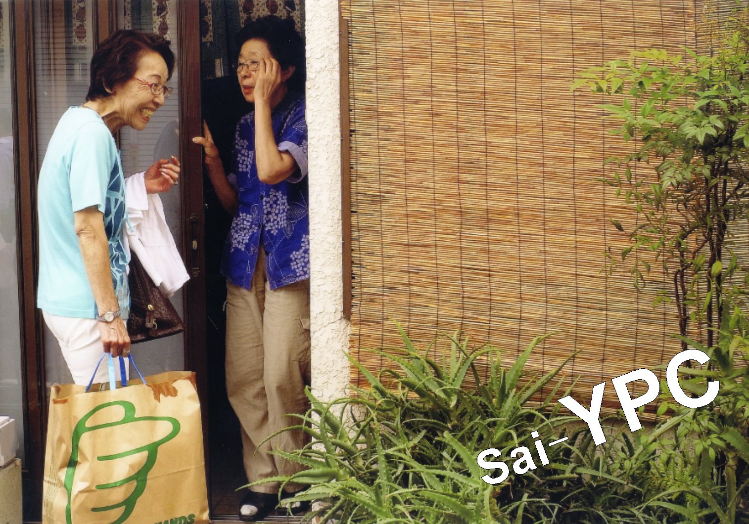 入賞写真