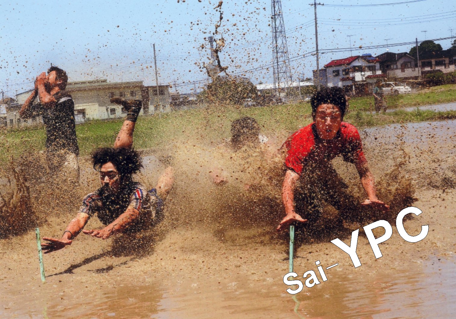 入賞写真
