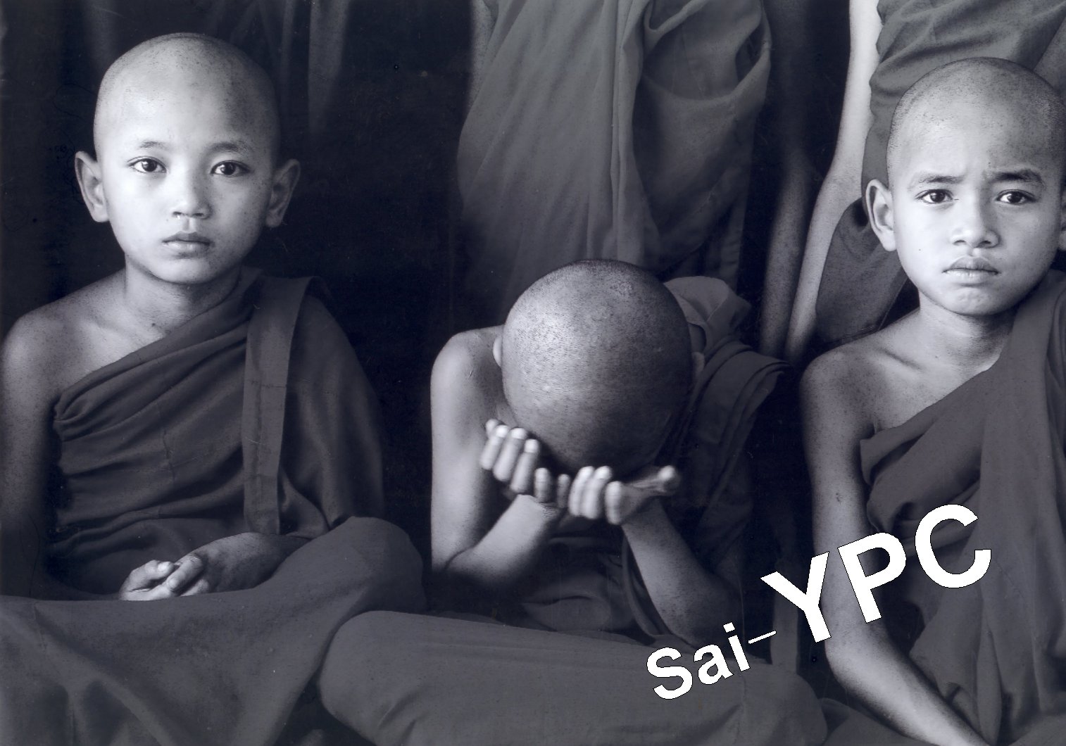 入賞写真
