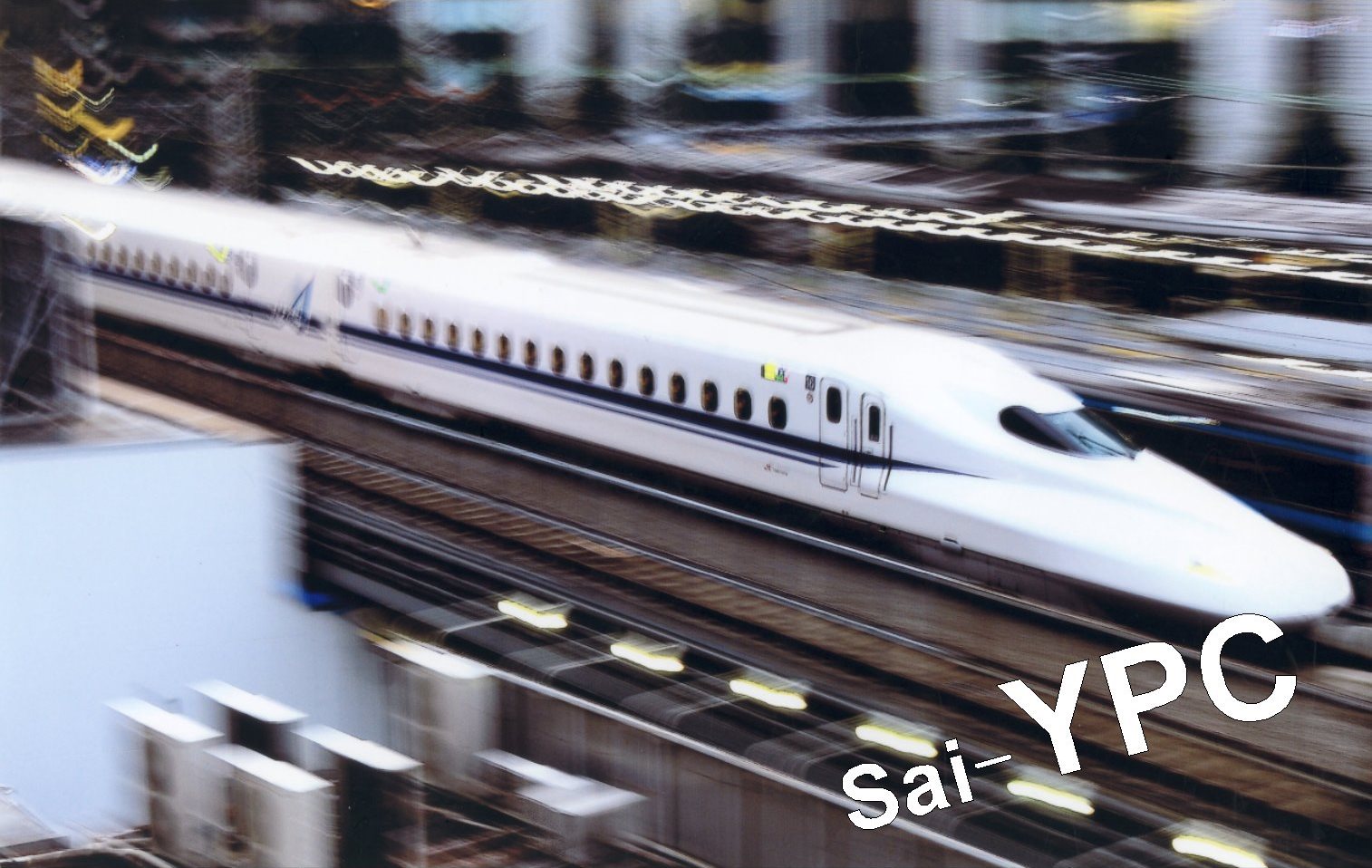 入賞写真