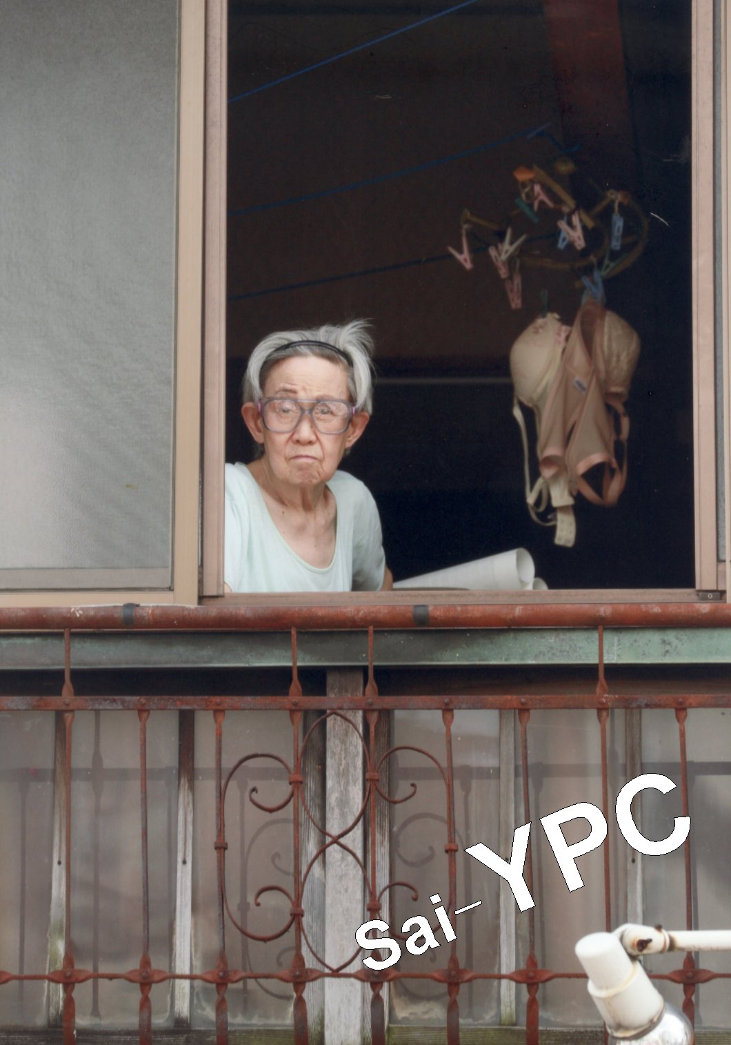 入賞写真