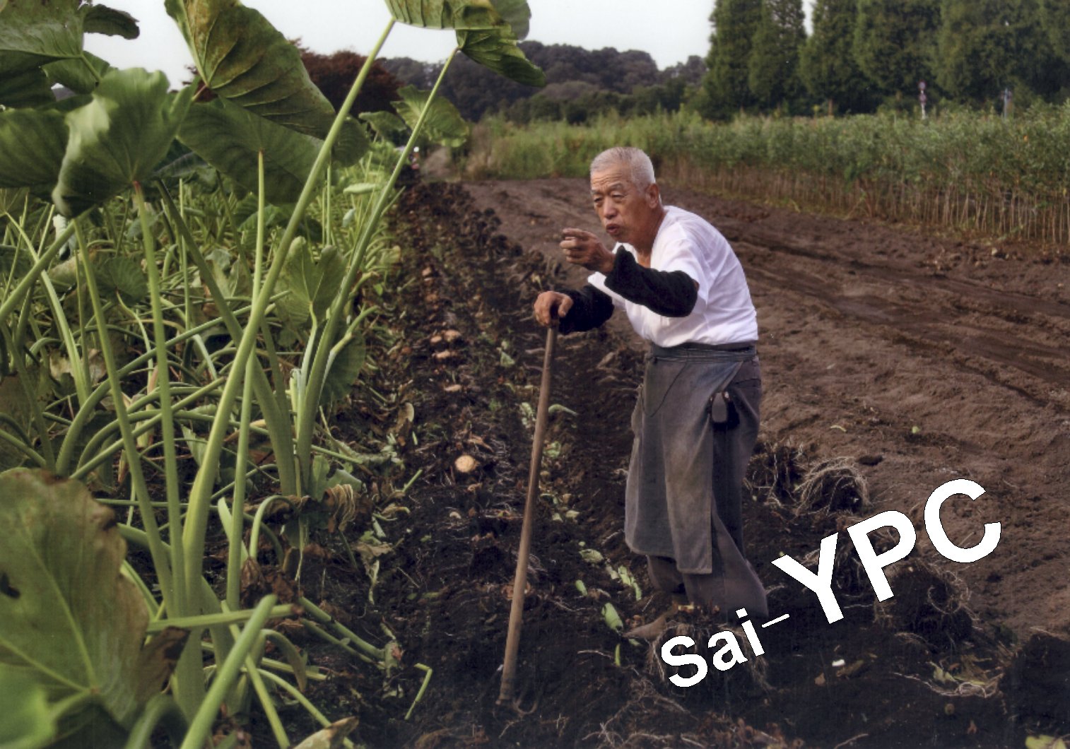 入賞写真