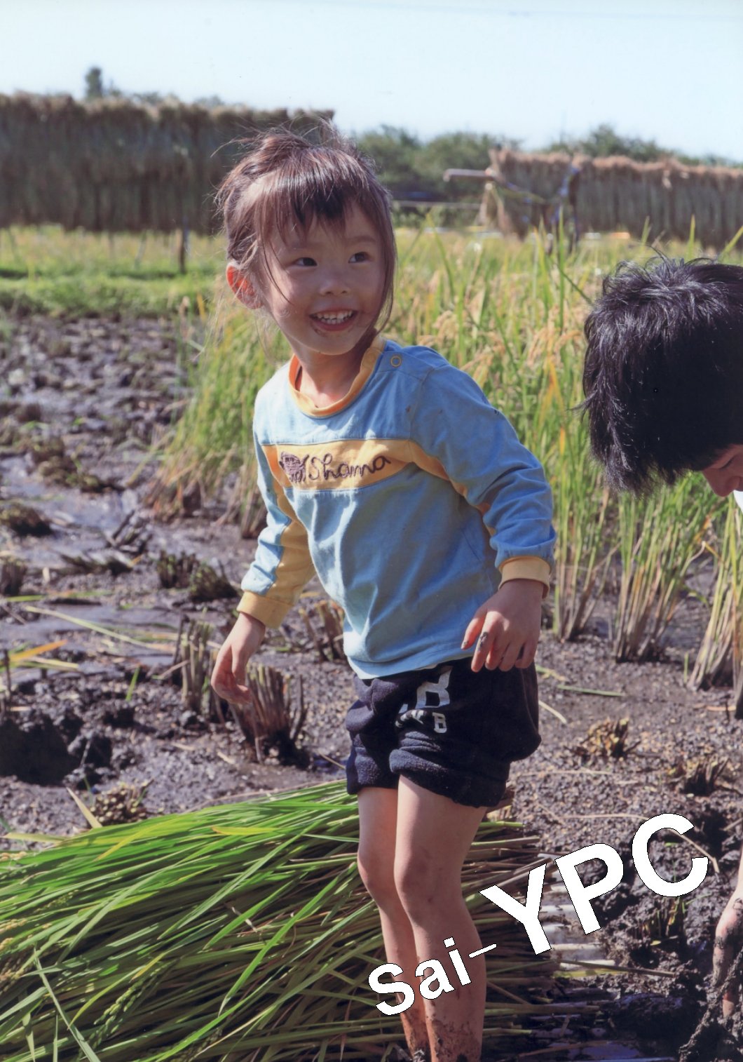 入賞写真