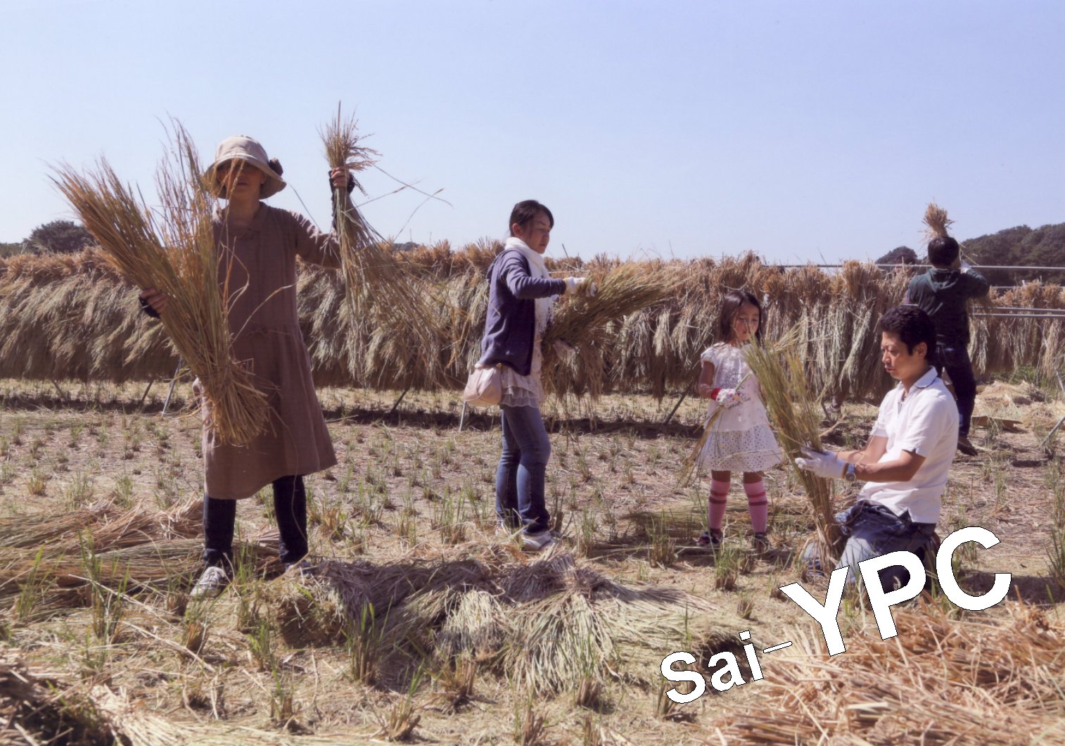 入賞写真