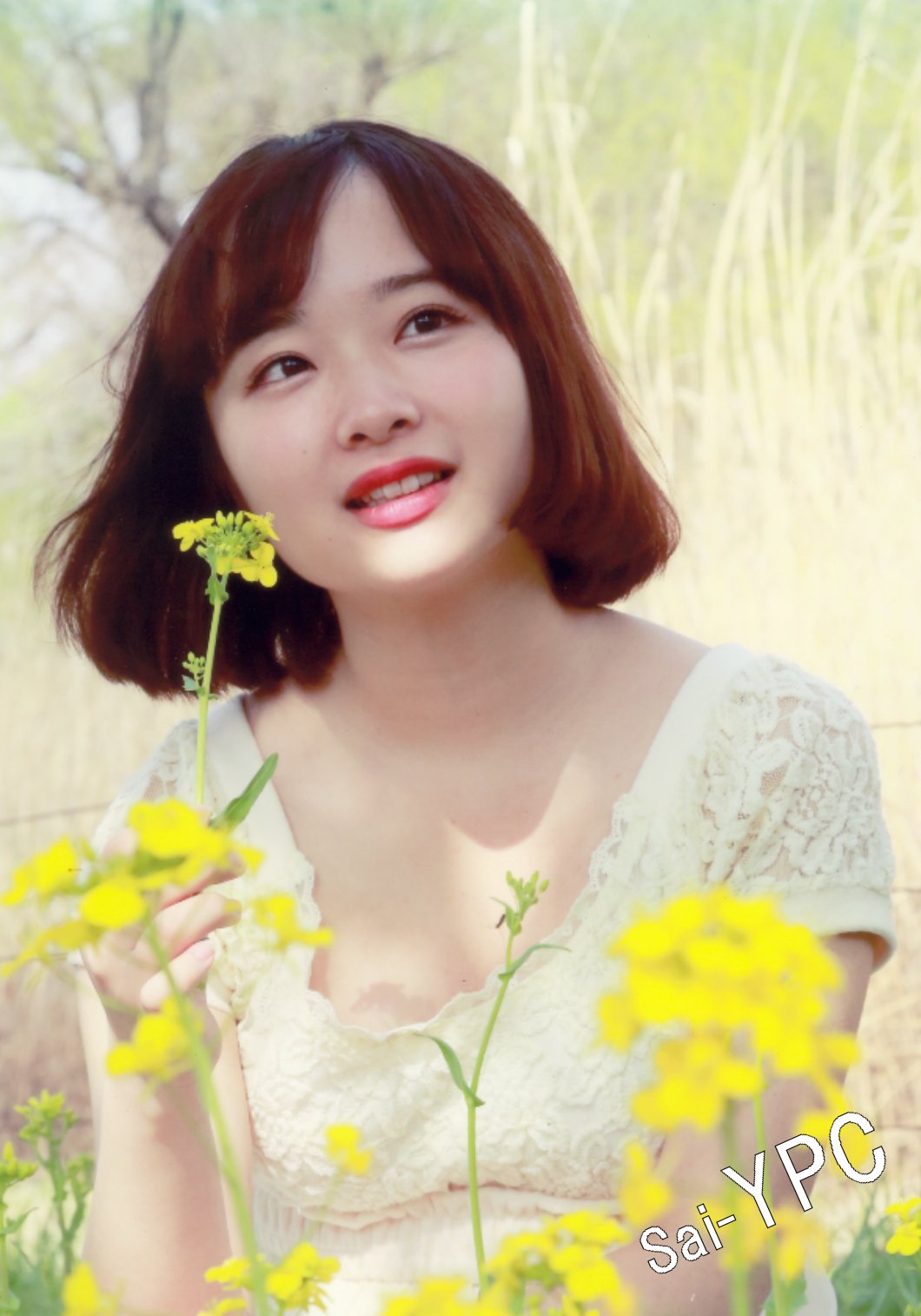 入賞写真"