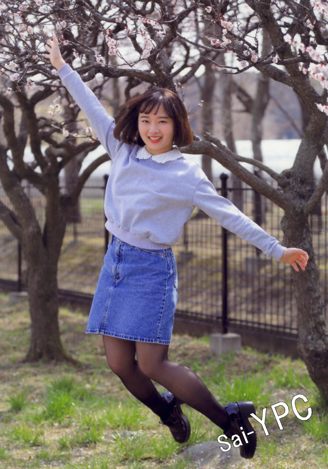 入賞写真"