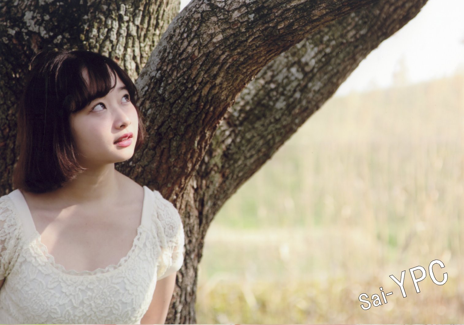 入賞写真"