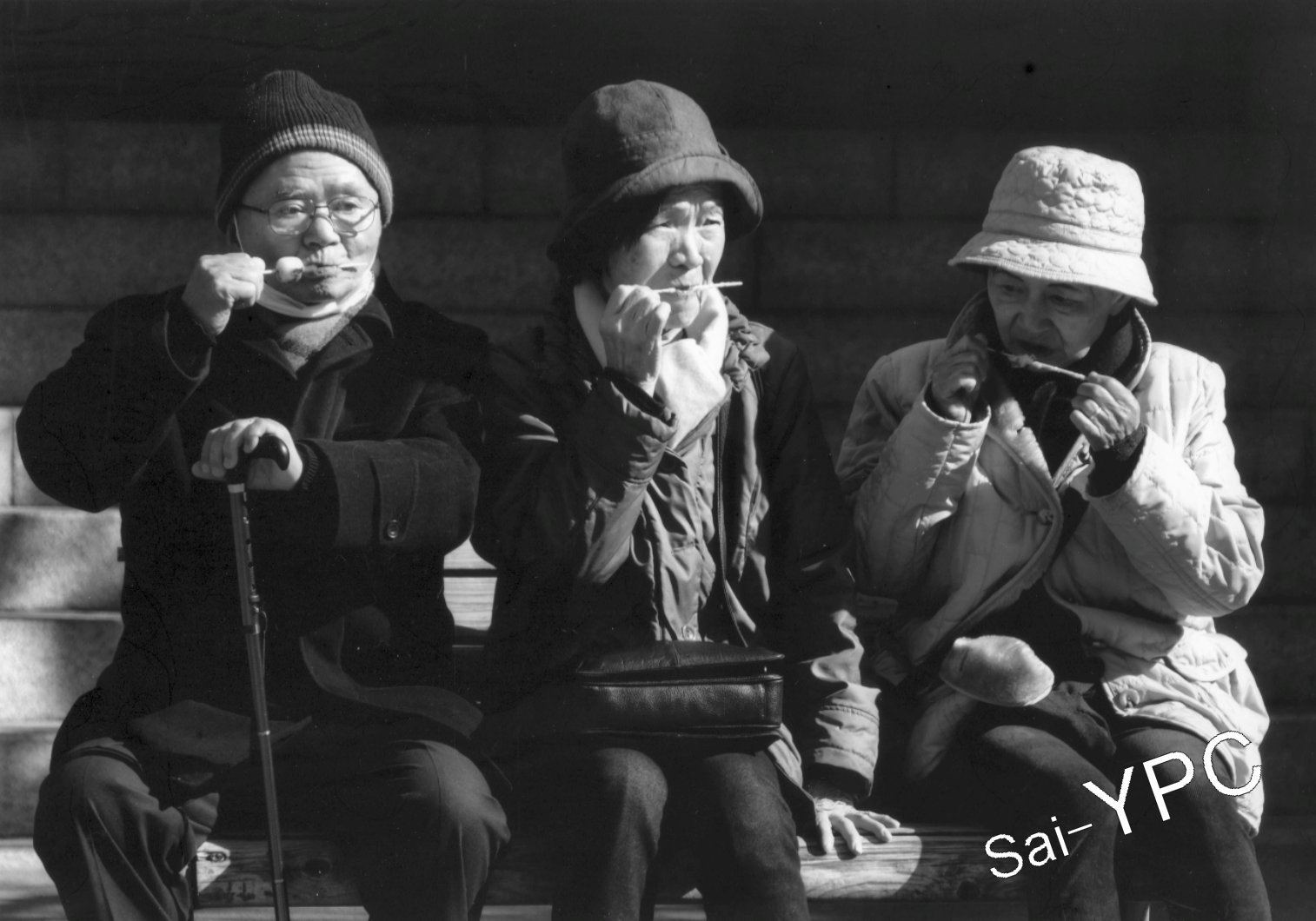 入賞写真"