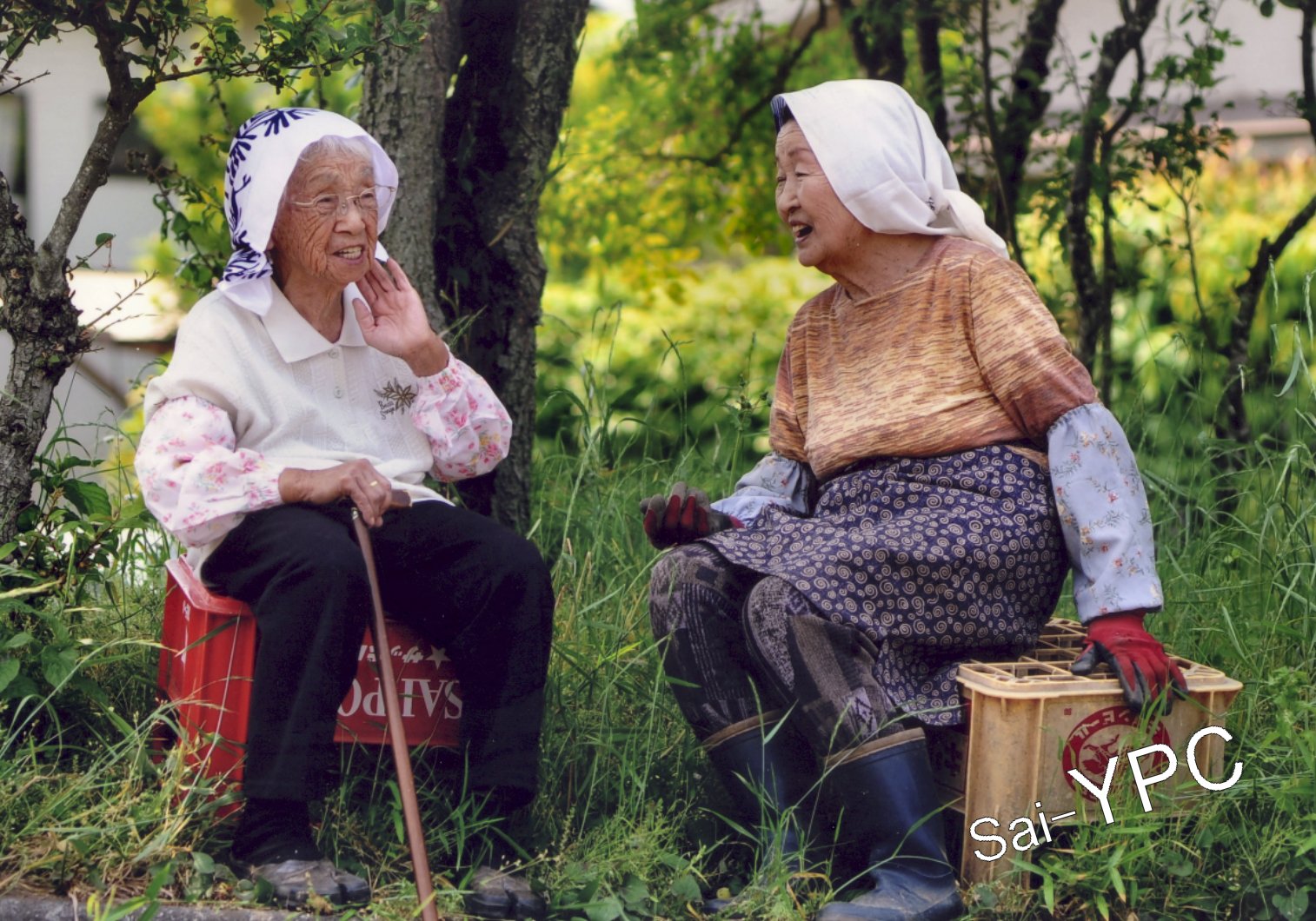 入賞写真"