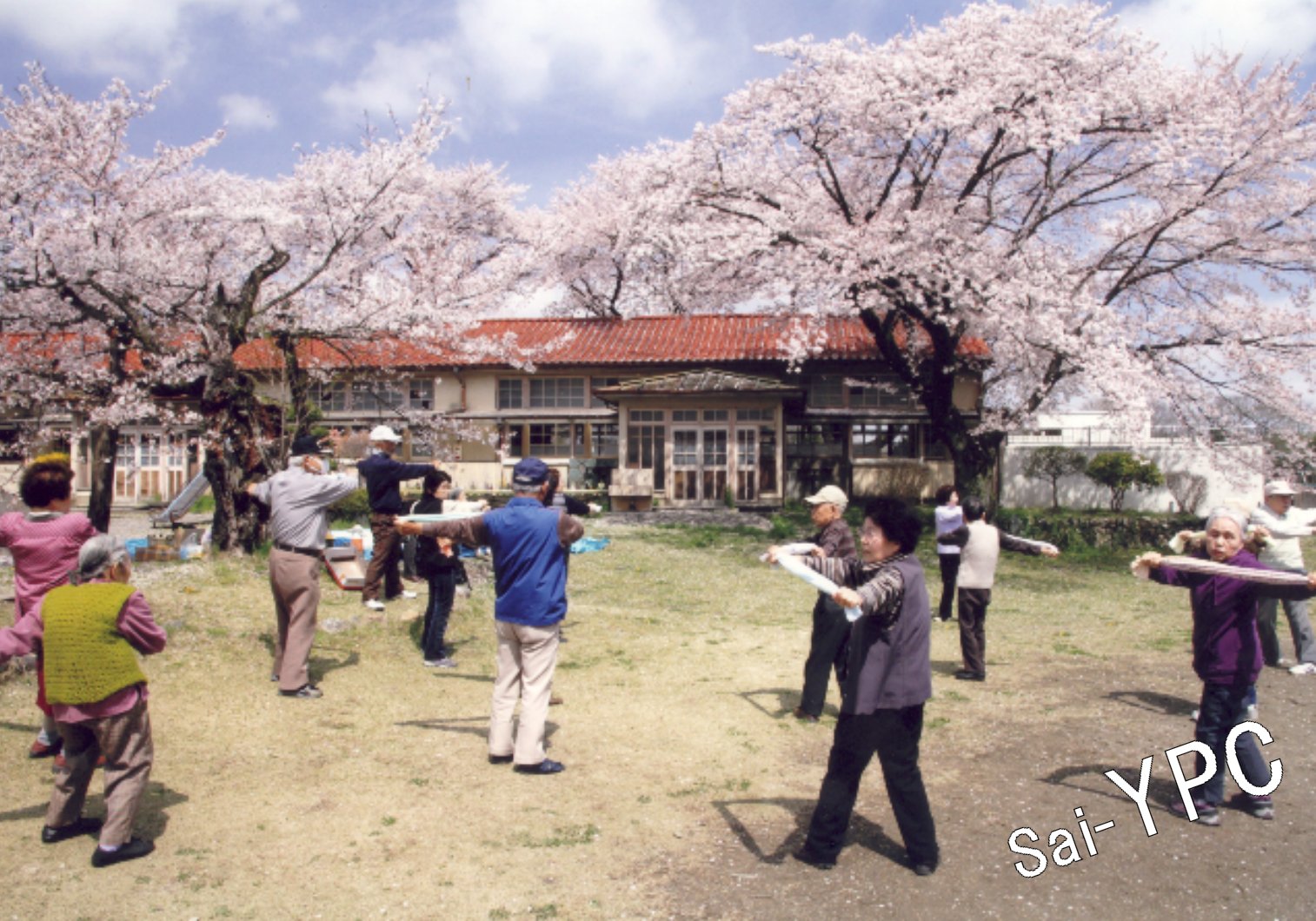 入賞写真"