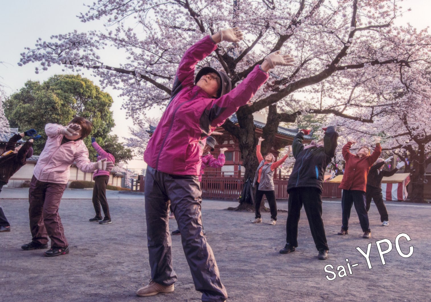 入賞写真"