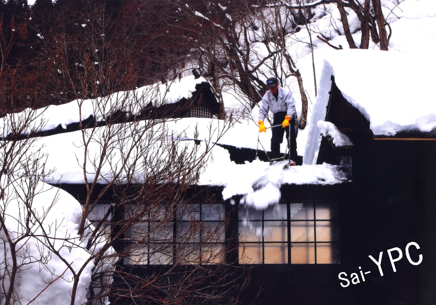 入賞写真"