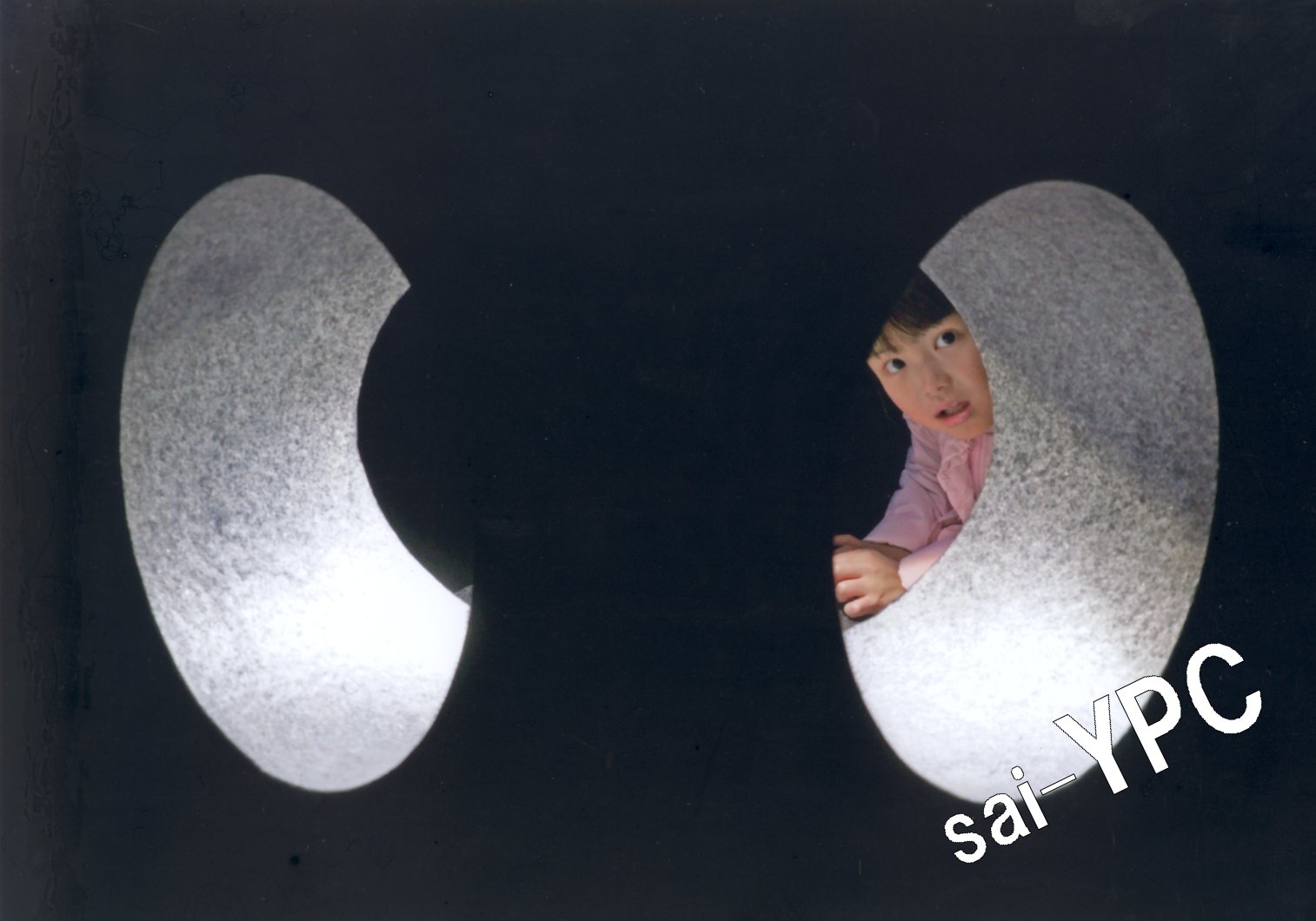 入賞写真