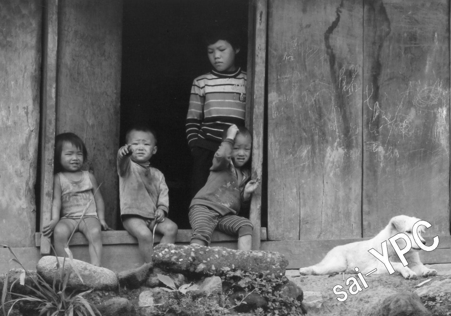 入賞写真