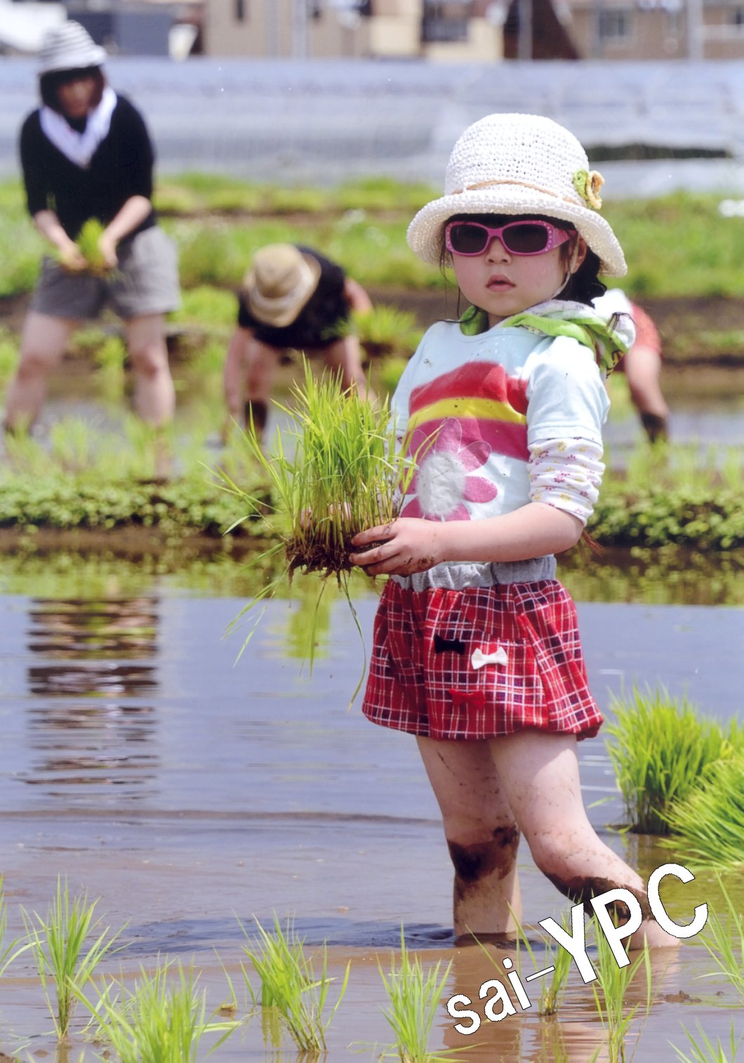 入賞写真