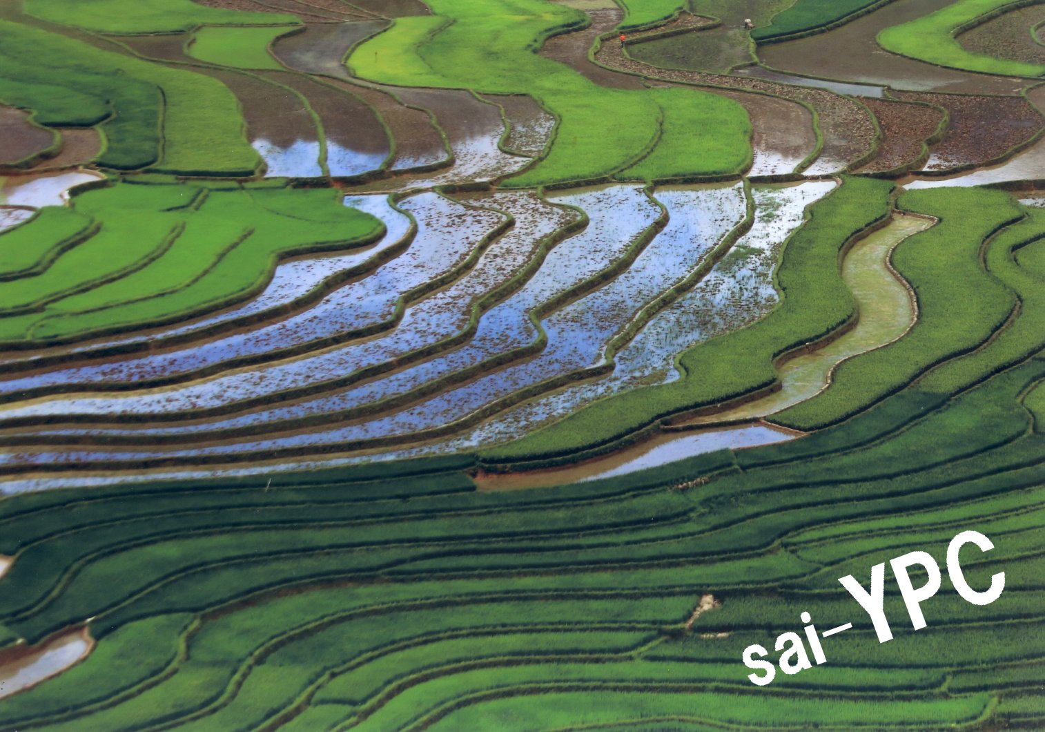 入賞写真