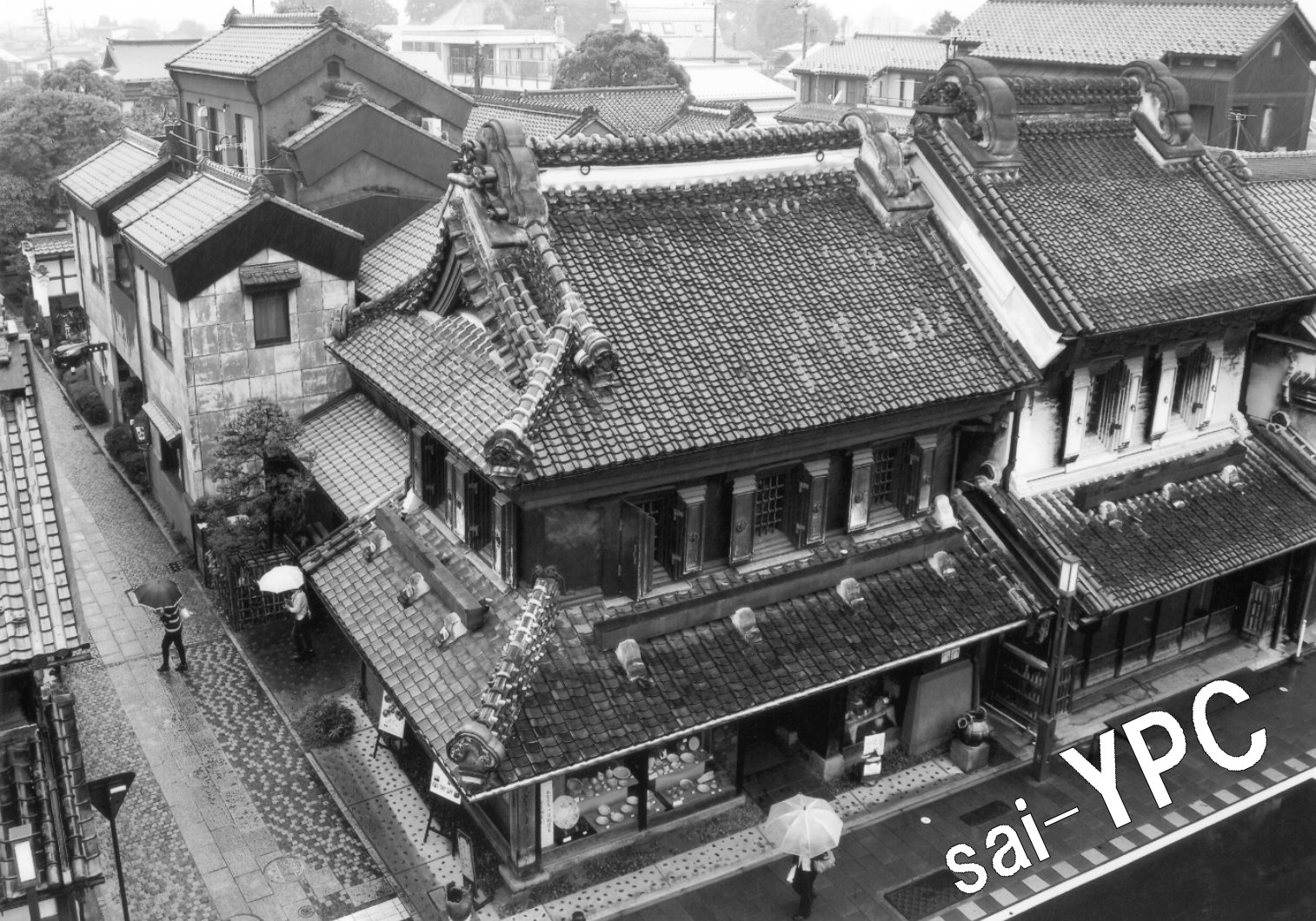 入賞写真