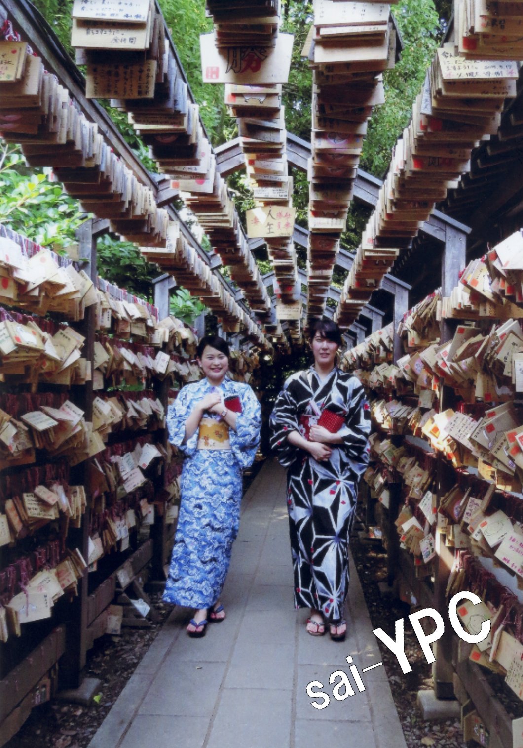 入賞写真