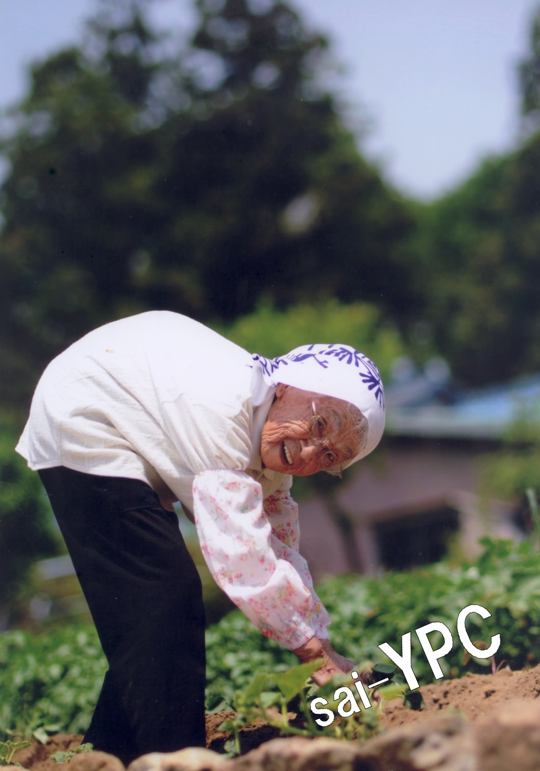 入賞写真