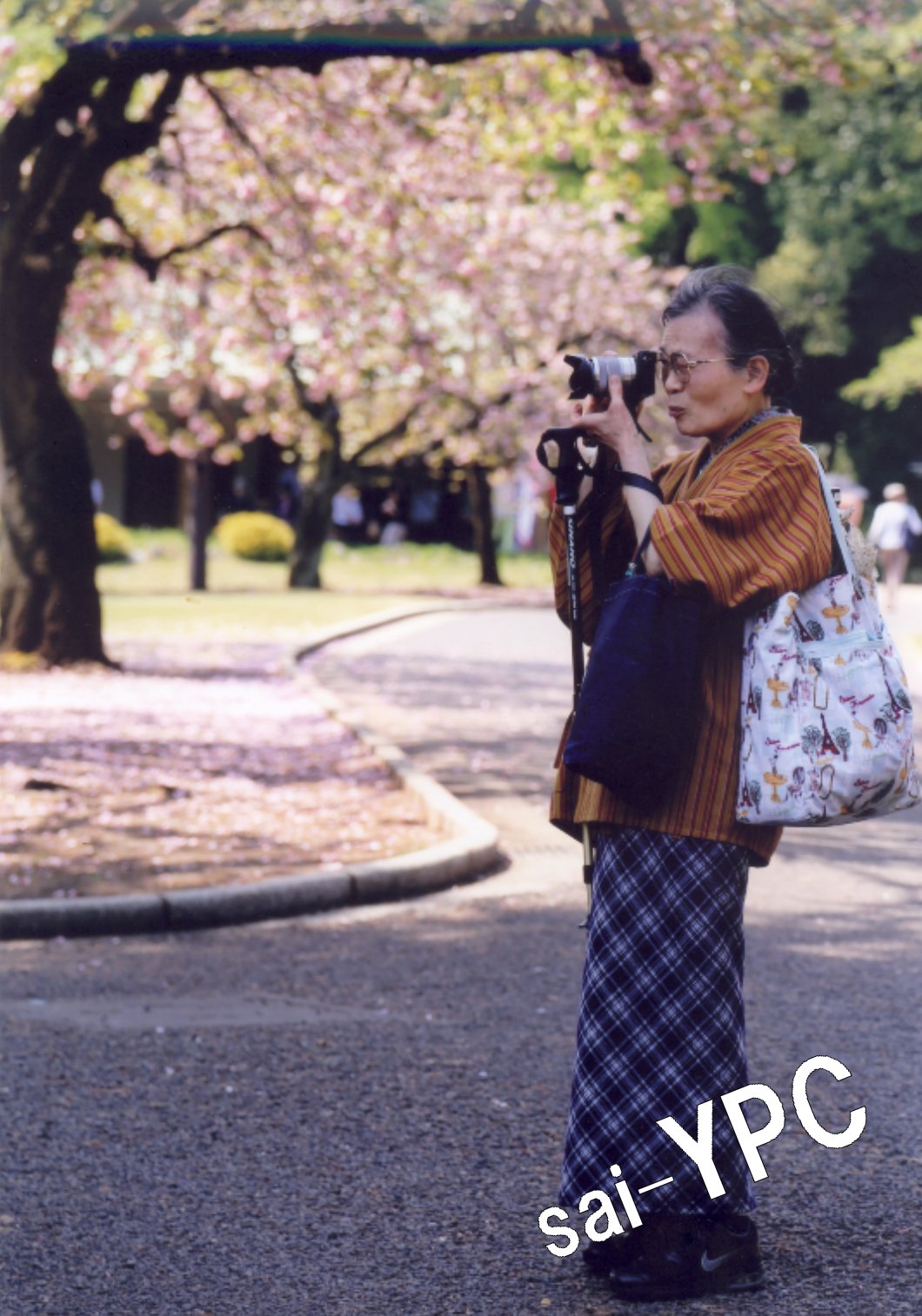 入賞写真