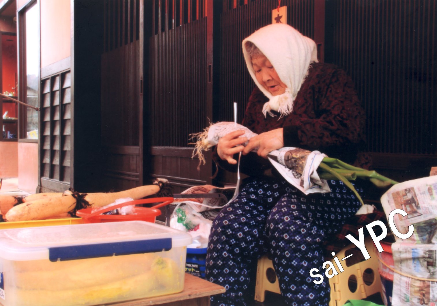 入賞写真