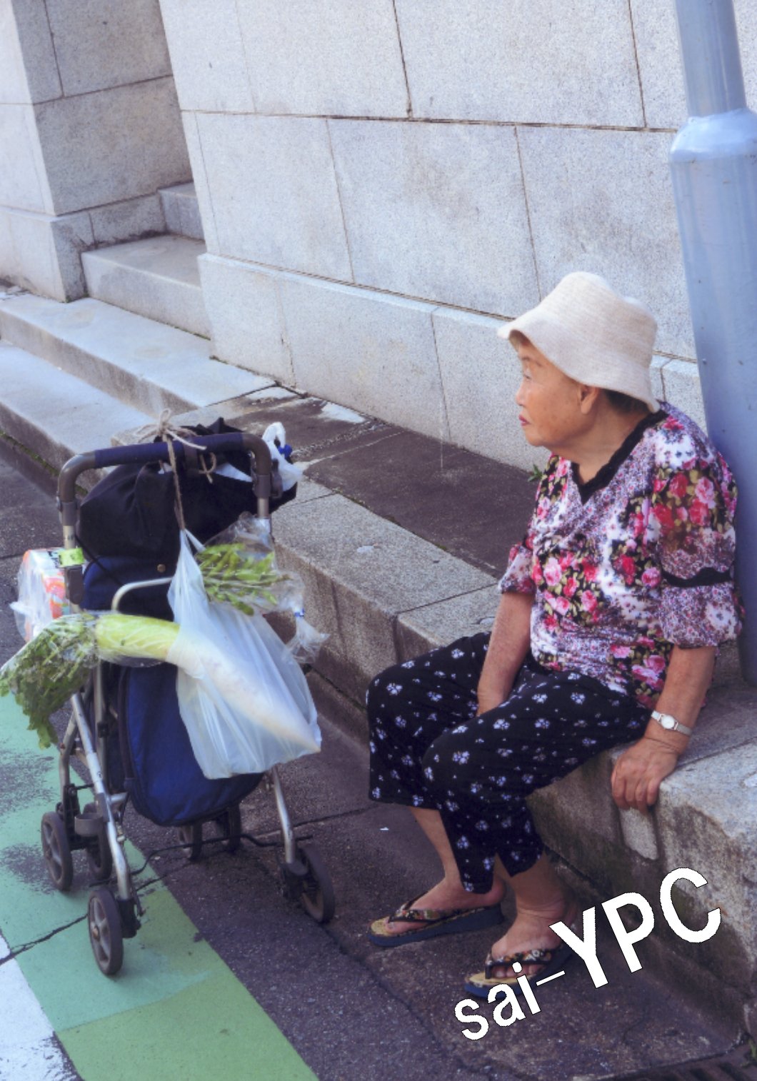 入賞写真