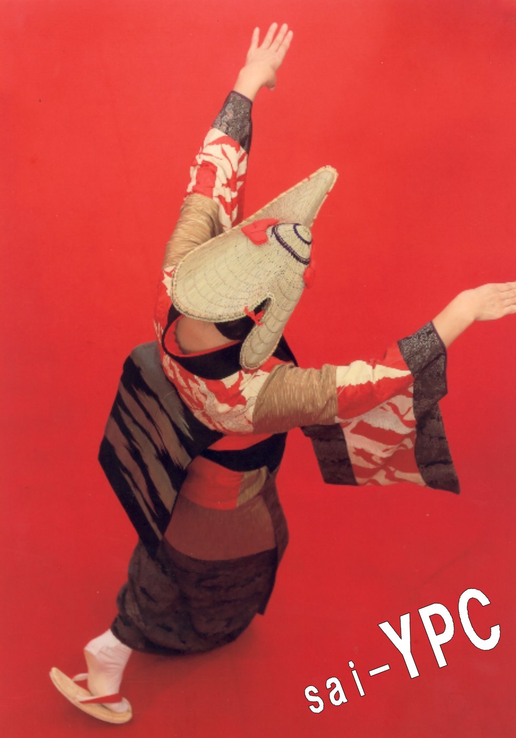 入賞写真