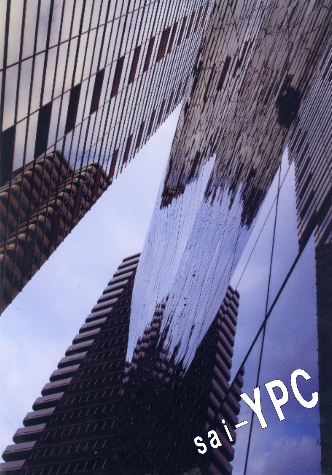 入賞写真