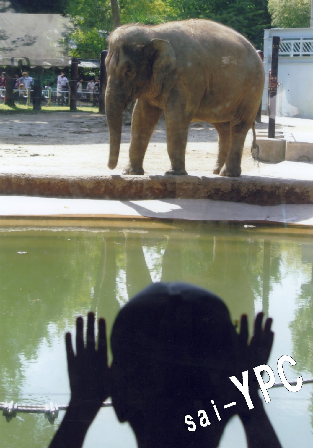 入賞写真