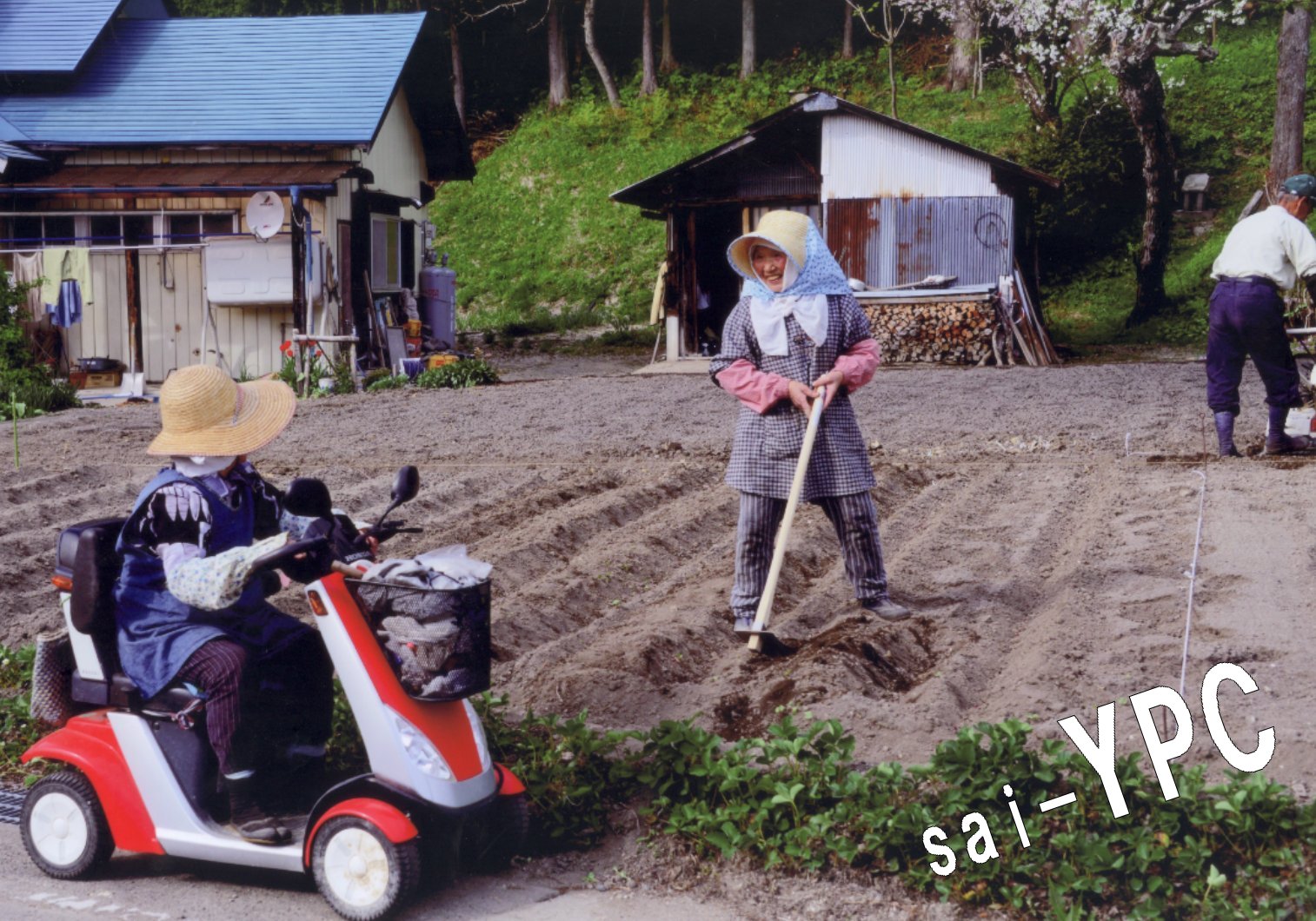入賞写真