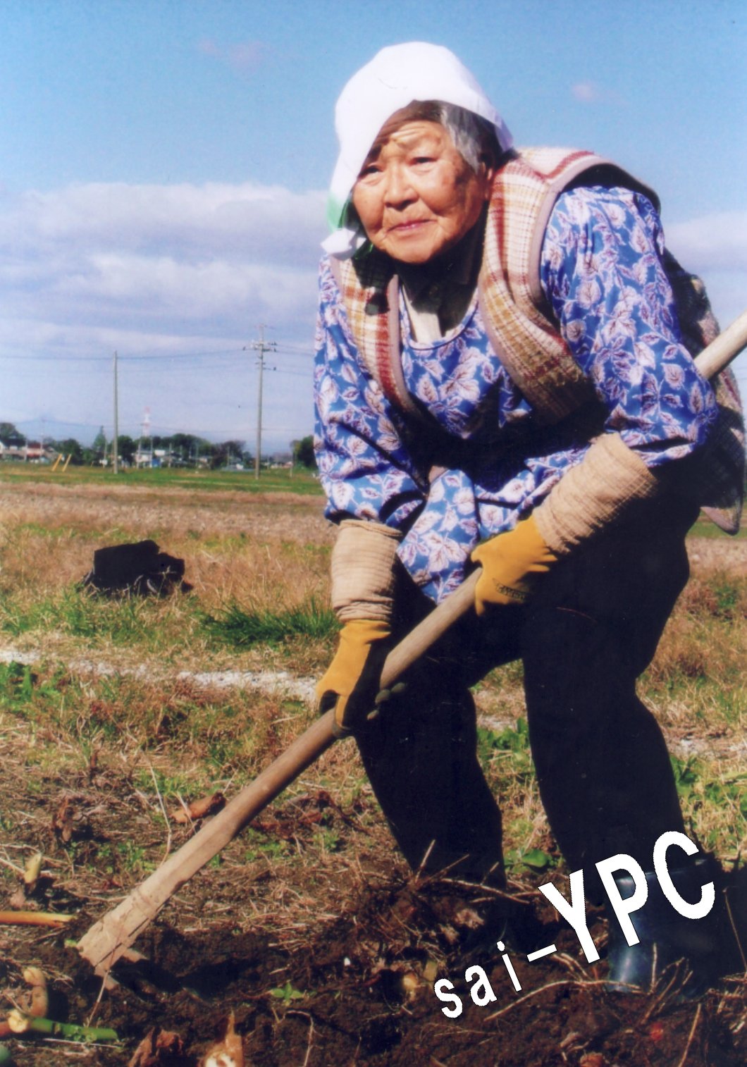入賞写真