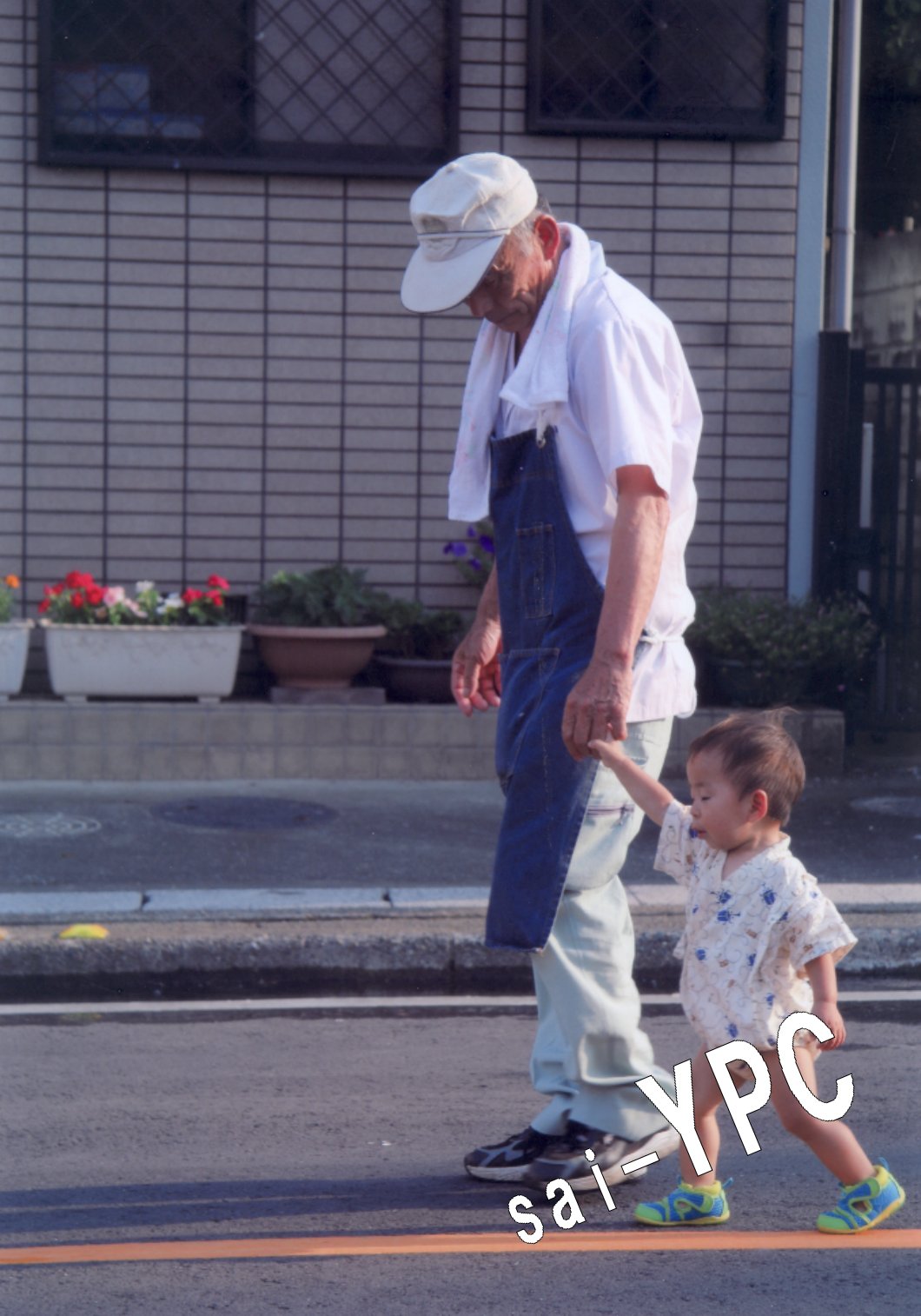 入賞写真
