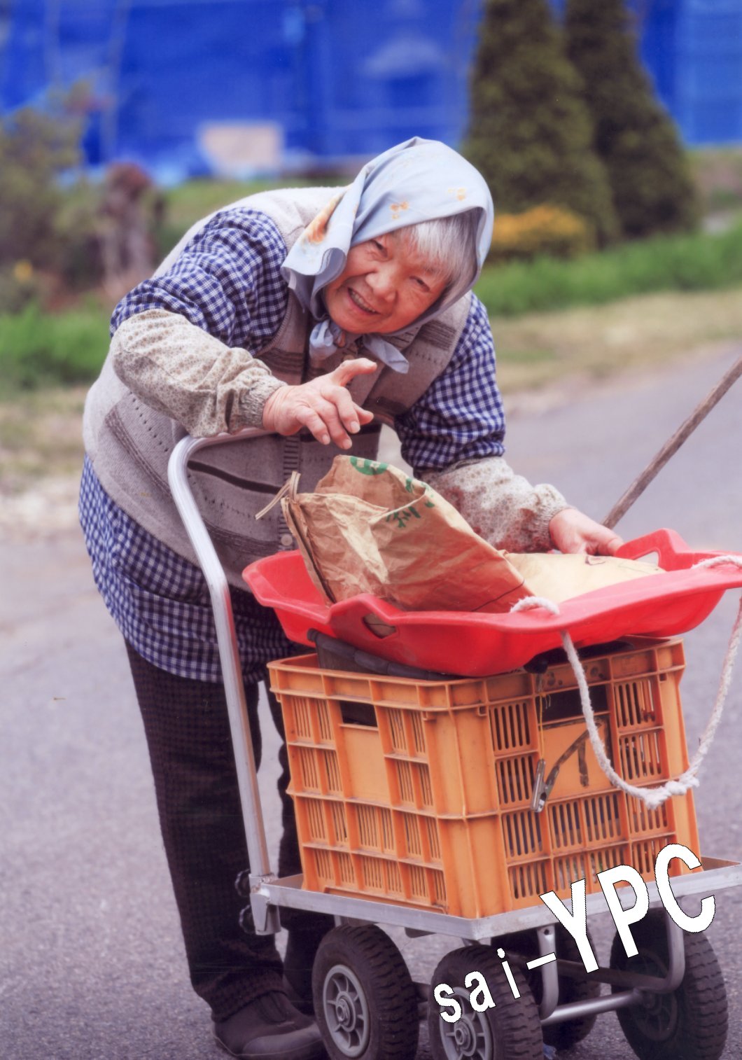 入賞写真