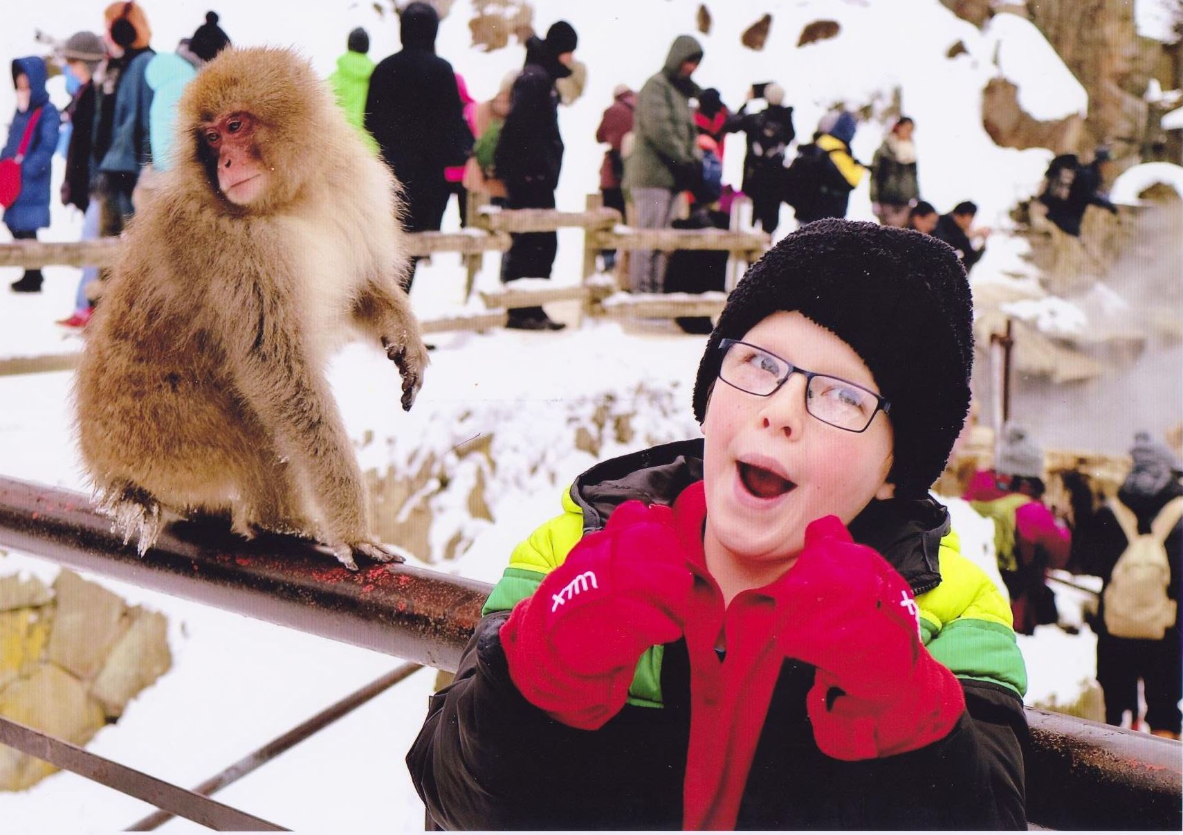 入賞写真
